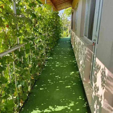 вила борко Guest house *